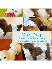 Pannolini impermeabili per cani, super assorbenti, monouso (pannolini, assorbenti, mutandine igieniche), 10 pezzi/confezione per cani femmina, 12 pezzi/confezione per cani maschio, prodotti per la pulizia adatti sia per cani maschi che femmine