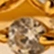 Dorado