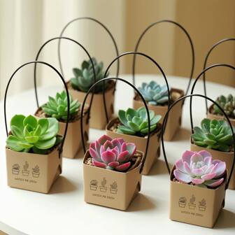 30pcs/Set, Watch Me Grow Succulents Wraps Fits 2 Inch Mini Pots Succulent Box Gift Bags Decoration Sleeve Succulent Tags Decor For Favors Ideas, Small Business Supplies, Weird Gifts, Cool Decor, Candy Box