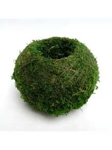 1/3 buc ghiveci elegant pentru briofite, bilă de mușchi, perfect pentru decorarea mesei, decorarea grădinii, amenajarea peisagistică microscopică, potrivit pentru plante de aer și granape.