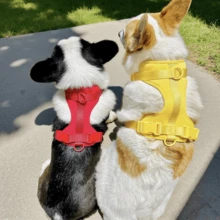 [极致舒适] 16 种颜色可调节狗背带加厚双层衬垫，防风保暖，适合秋冬季，柔软舒适，非常适合宠物护理，适合小型中型大型犬的全尺寸（XS-XL），户外散步和旅行宠物背心，四季使用