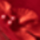 紅色