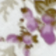 Floral Rust