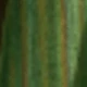رمادي غامق