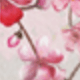 粉色
