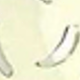 彩色