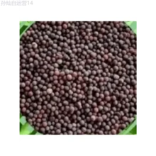 Fhdfhdfhdf 178pcs Outdoor Seeds, Random Quantity, Sawtooth Cilantro, Herb Seeds, Self-Growing Ground Cover Perennial - 178 - View 3