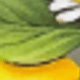 彩色