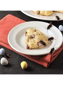 2025 新款 - 超逼真假蟑螂，假蟑螂是一个很好的恶作剧，极其逼真和令人毛骨悚然的蟑螂模拟，适合万圣节/愚人节道具和恶作剧 - 彩色 - 查看 6