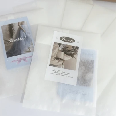 50 个 3.9x6.7 英寸礼品包装袋，派对礼品袋，加厚纸质包装袋，适用于礼品包装袋、婚礼、生日、派对礼品袋、游轮、运输和工艺礼品包装袋