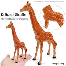 There Are 12 Types To Choose From, Including Large-Sized Solid Animal Models Made Of PVC Material, Realistic Wild Animals, Hand-Painted Lifelike Model Figurines, Such As Giraffes, Elephants, Lions, Tigers, Sika Deer, Wild Wolves, Rhinos, Hippos, Zebras, Cheetahs, Crocodiles, Brown Bears, Zoo Toy And Game Models, Desktop Decoration Sets, And Festival Gifts
