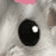 彩色