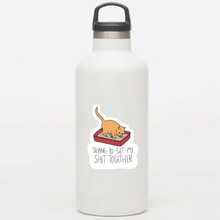 1 Stück "Ich versuche, mich zusammenzureißen" Aufkleber, lustiger Katzenklo Meme wasserfester Vinyl Aufkleber für Laptop, Wasserflasche, Notizbuch, Skateboard, Handy, ästhetischer Humor zur psychischen Gesundheit