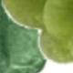 B090