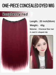 1pc Approx. 20 Inch Long Straight Synthetic Clip-In Hair Extensions, 4pieces/Set, Color-Dyed Natural Looking Braids Hair Piece For Women - Multicolor - View 19