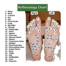 纯天然木质按摩棒一件套 - 用于放松、缓解疲劳、放松足部经络的多功能木质工具、穴位按摩器工具、穴位按摩器、自我按摩工具释放工具和深层肌肉按摩棒 - 彩色 - 查看 5