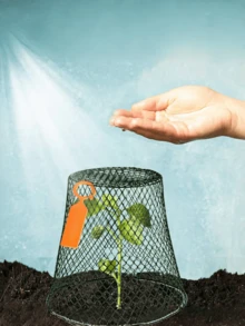 1 peça de gaiola de arame para plantas, protetor de plantas de jardim de metal resistente para afastar coelhos, galinhas, esquilos, pássaros e outras pragas, gaiola para lixeira