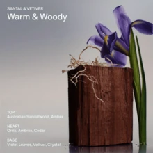 Santal & Vetiver Body Mist | Unisex Perfume Spray For Hair & Body | 3.4 Fl Oz Long-Lasting Scent