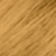 Cachorro Caramelo (Ruivo Caramelo)