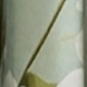 Nhiều màu
