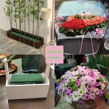 12 件/6 件绿色花卉泡沫块，适用于鲜花和丝绸花 - 非常适合布置、种植和 DIY 工艺材料