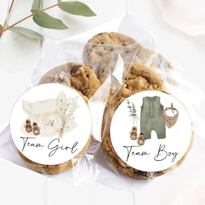 性别揭示纸质贴纸婴儿衣服贴花男孩或女孩自粘贴纸适用于婴儿洗澡卡派对用品