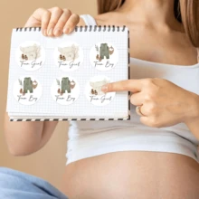 性别揭示纸质贴纸婴儿衣服贴花男孩或女孩自粘贴纸适用于婴儿洗澡卡派对用品 - 彩色 - 查看 6