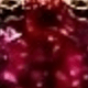 Màu Hồng Tươi