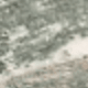 Gris verde
