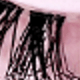 Cat Eye Lashes
