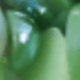 Trắng xanh nhạt