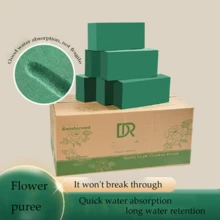 12 件/6 件绿色花卉泡沫块，适用于鲜花和丝绸花 - 非常适合布置、种植和 DIY 工艺材料