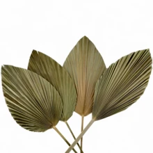 Dried Flower Bouquet - Camel - View 6