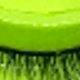 Natural Lashes