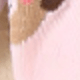 彩色