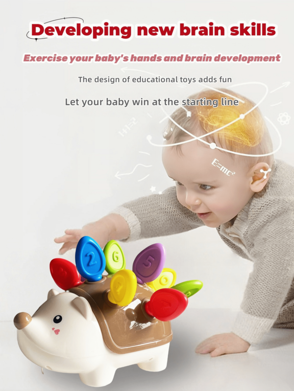 Montessori Hedgehog Toy, Fine Motor Skill Toy (Learning To Count), Toddler Toys For 2-4 Years Old, Learning Toys For Infants, Sensory Toys For Babies, Educational Toys For Kids, Outdoor Toys, Learning Resources Toys, Bath Toys, Children Toys, Garden Toys