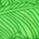 Rừng Xanh