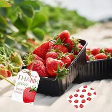 30 Piezas Etiquetas de Agradecimiento con Diseño de Fresa "Gracias por Tanto", Artículos de Fiesta de Baby Shower, Boda o Cumpleaños con Temática de Frutas Dulces para Decoraciones y Regalos