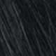 S1
