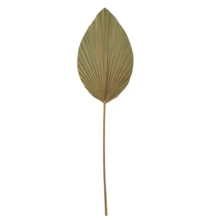 Dried Flower Bouquet - Camel - View 2