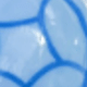 Blue Turtle
