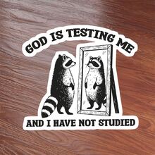 1 件上帝在考验我，而我却没有学习贴纸、搞笑浣熊表情包贴纸、可爱学习幽默乙烯基贴花、士气贴纸、笔记本电脑贴纸、水瓶贴花、耐用聚乙烯、工作幽默、日常使用、用于学校用品、返校