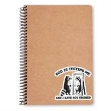 1 件上帝在考验我，而我却没有学习贴纸、搞笑浣熊表情包贴纸、可爱学习幽默乙烯基贴花、士气贴纸、笔记本电脑贴纸、水瓶贴花、耐用聚乙烯、工作幽默、日常使用、用于学校用品、返校