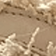 Màu be