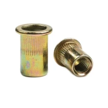 Conjunto de porcas rebitadas - Dourado - Visão 10