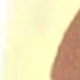 彩色