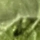 Green 1