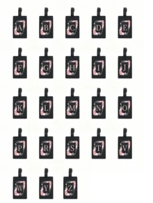 首字母 A-Z 行李牌、花卉和首字母图案、PVC 行李名牌、嘉年华邮轮行李牌、个性化行李牌、可爱行李牌、行李箱 ID 牌、地址卡登机牌、便携式标签行李箱挂牌、可书写的行李箱标签、可调节行李箱标签、旅行必需品、旅行必备品、邮轮必需品、学校配件、返校用品、学校用品包