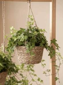 1pc/2pcs Woven Hanging Basket Flower Pot For Plants, Handmade Rattan Planter For Ivy