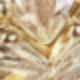 金色